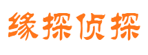 柯城市调查公司